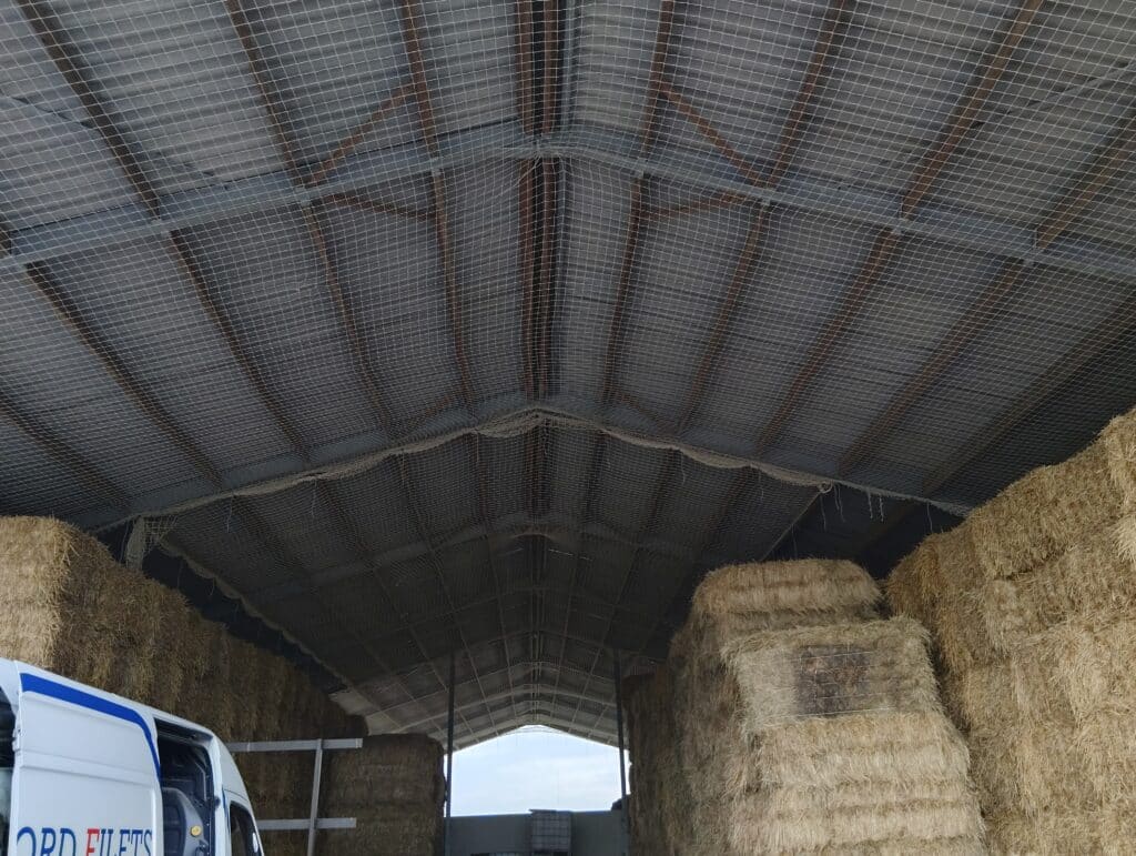 IMG 20250702 140855223