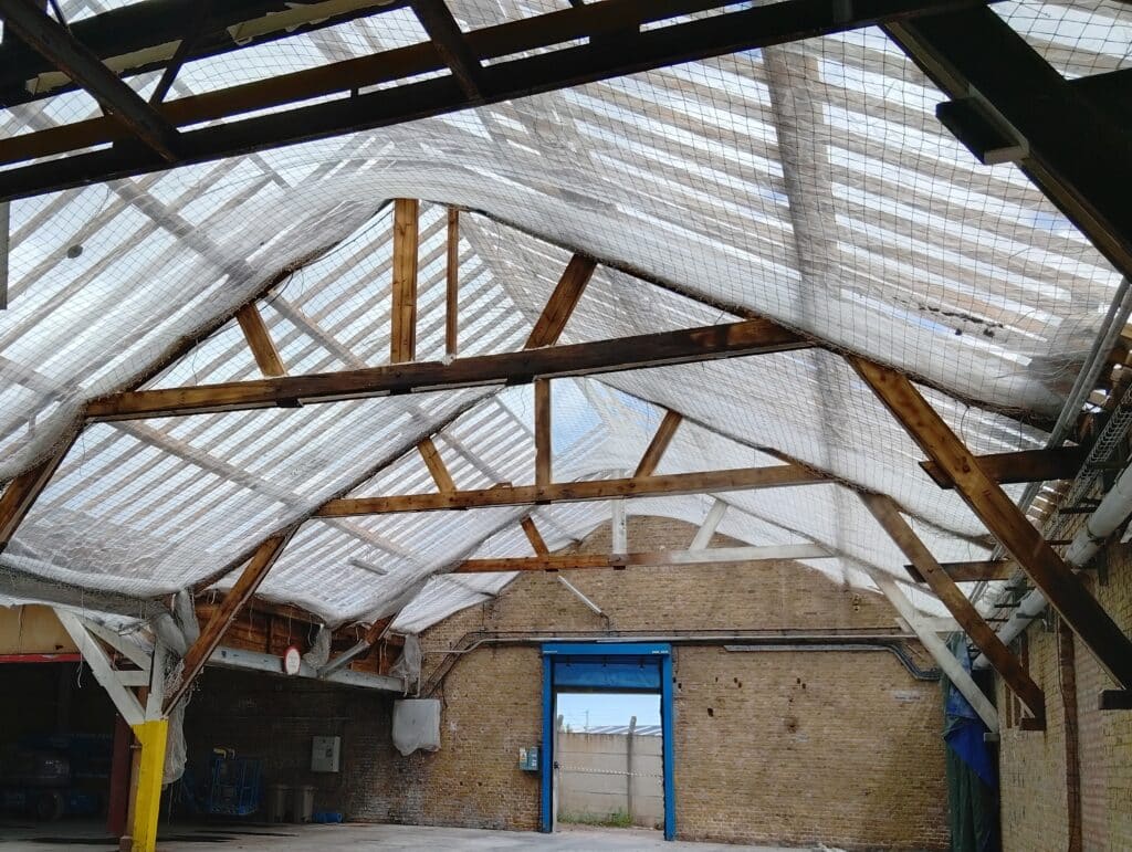 IMG 20250722 144845651