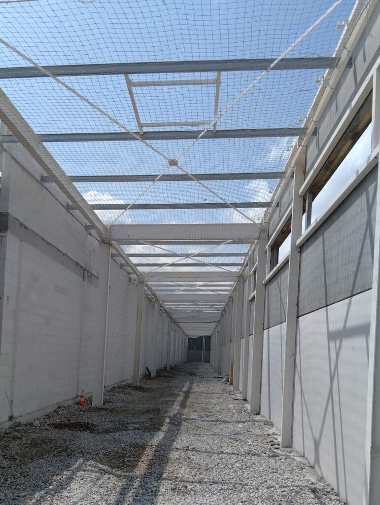 IMG 20250801 135232982